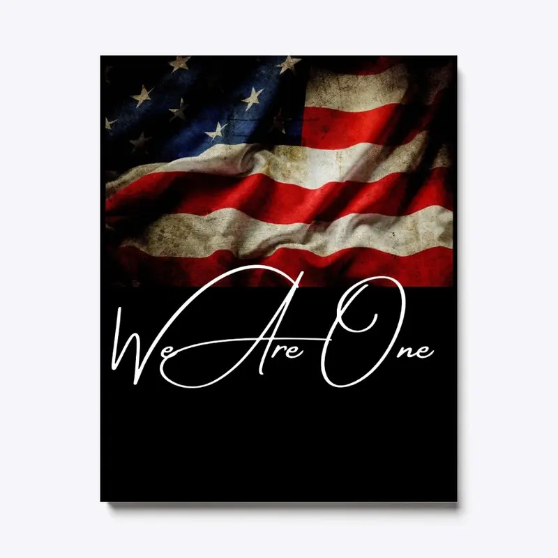 USA Flag We Are One Shirts