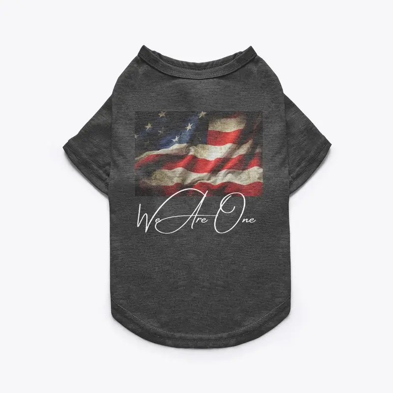 USA Flag We Are One Shirts